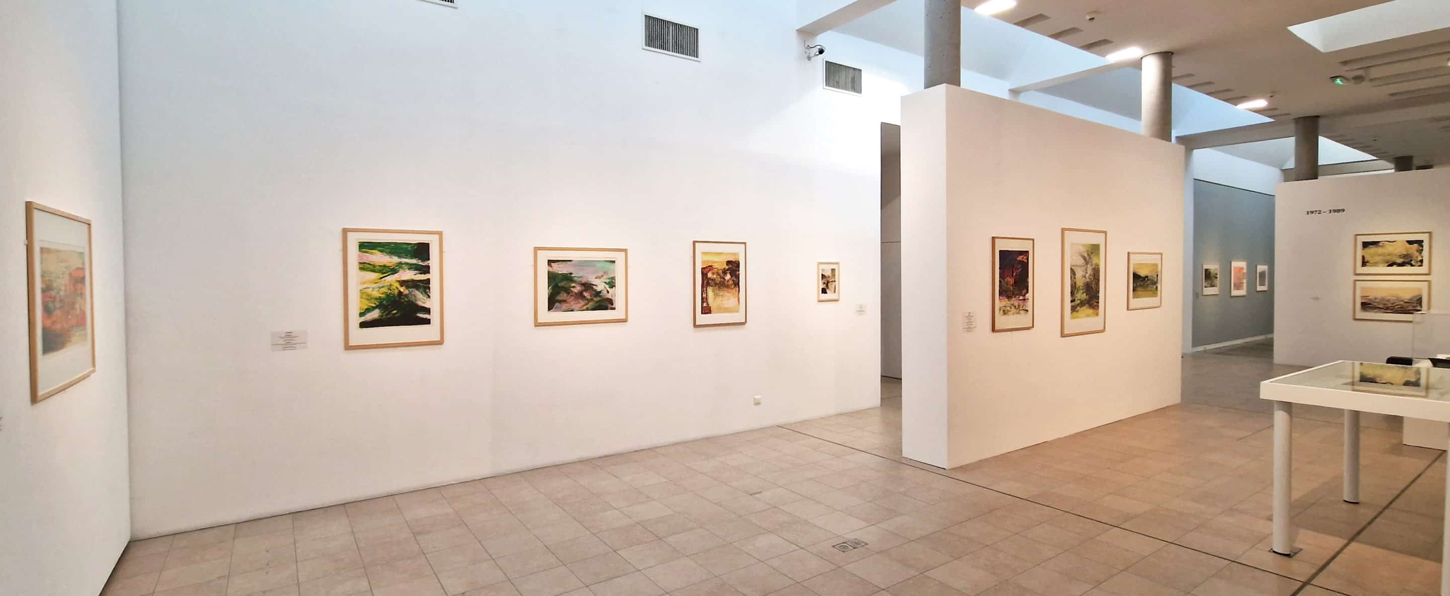 Vue de l’exposition de la donation au musée de l’Hospice Saint-Roch à Issoudun. Droits réservés